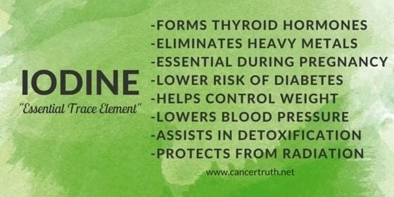A green banner with information about thyroid hormone.