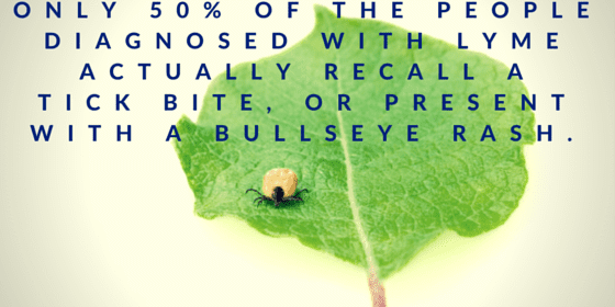 A leaf with a bug on it and the text " 5 0 % of the people diagnosed with lyme disease, actually recalled bite or press a